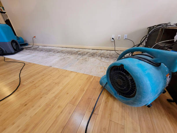 Professional Basement Flood Cleanup technician working in Durand, MI